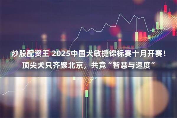 炒股配资王 2025中国犬敏捷锦标赛十月开赛！顶尖犬只齐聚北京，共竞“智慧与速度”