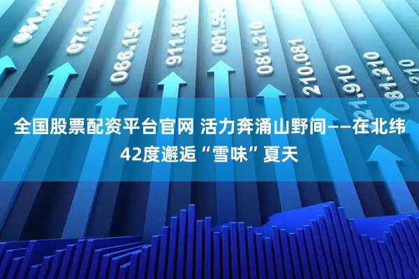 全国股票配资平台官网 活力奔涌山野间——在北纬42度邂逅“雪味”夏天